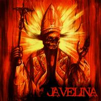 Javelina : Beasts Among Sheep